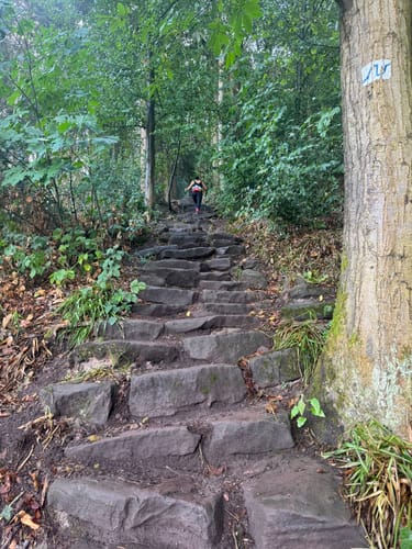 Neckarsteig Etappe 1: Heidelberg - Neckargemünd