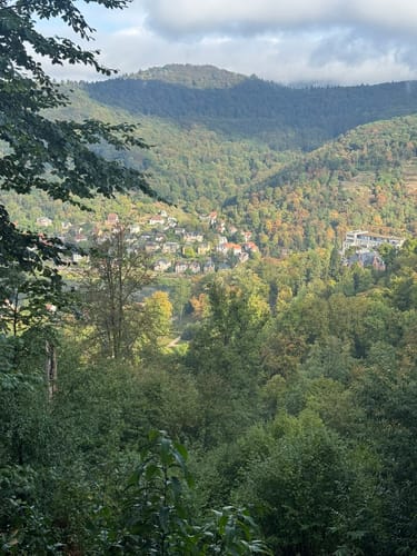 Neckarsteig Etappe 1: Heidelberg - Neckargemünd