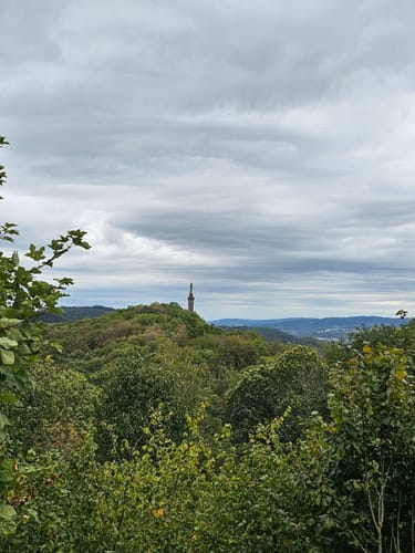Trier Busental - Sirzenicher Wasserfall - Markusberg