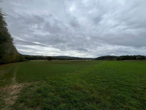 Bärenpfad (Premiumwanderweg)