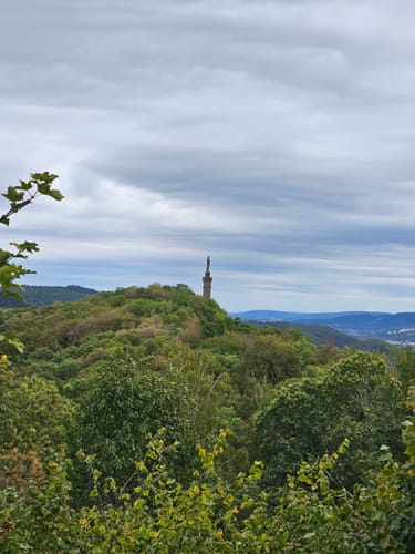 Trier Busental - Sirzenicher Wasserfall - Markusberg