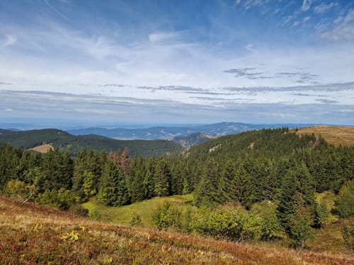 Feldbergsteig (Genießerpfad)