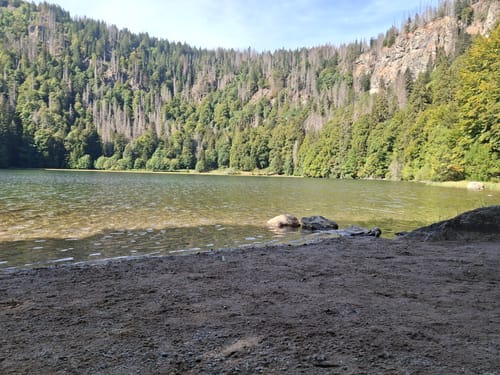 Feldbergsteig (Genießerpfad)