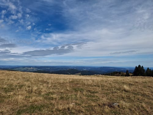 Feldbergsteig (Genießerpfad)