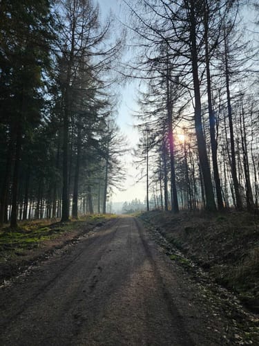 Egestorf am Deister - Teufelssprung Rundwanderung