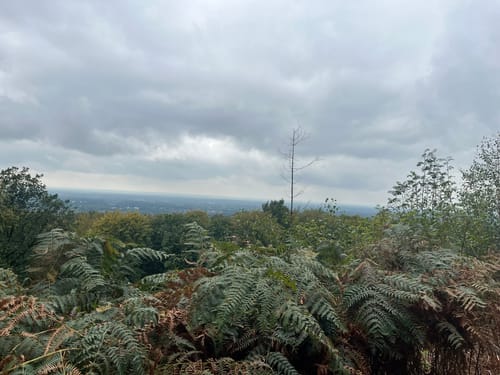 Mielberg-Petersberg-Rundweg