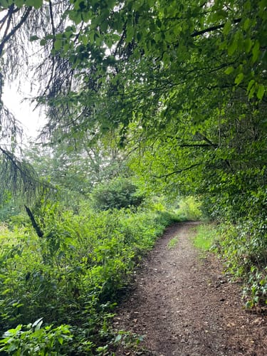 Mielberg-Petersberg-Rundweg