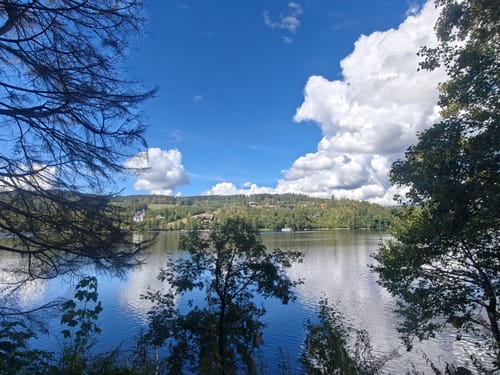 Titisee Rundweg