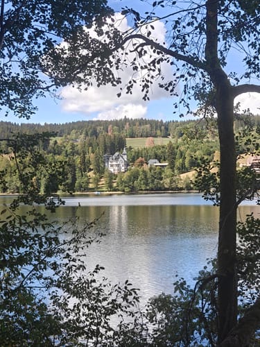 Titisee Rundweg