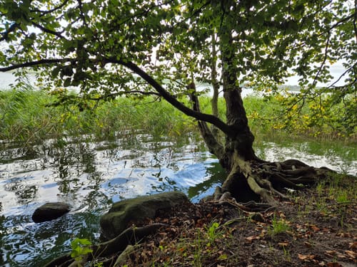 Noorwanderweg