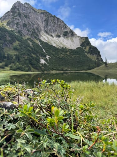 Aus Reichenbach zum Unteren Gaisalpsee