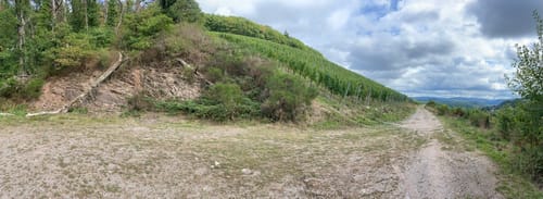 Saarburger Rausch und Burganlage Saalburg