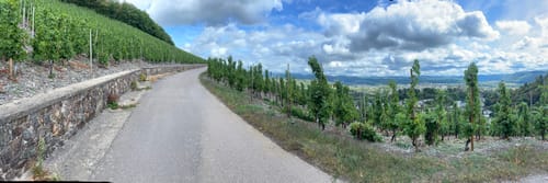 Saarburger Rausch und Burganlage Saalburg