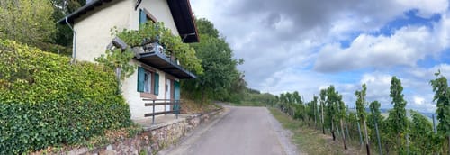 Saarburger Rausch und Burganlage Saalburg