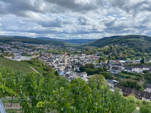 Saarburger Rausch und Burganlage Saalburg