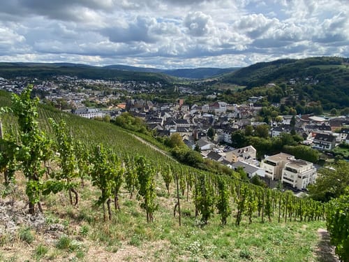 Saarburger Rausch und Burganlage Saalburg