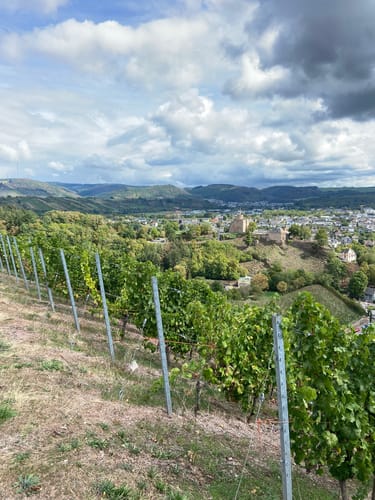 Saarburger Rausch und Burganlage Saalburg