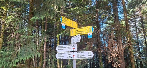 Kreuzsattelhütte - Brandenkopf