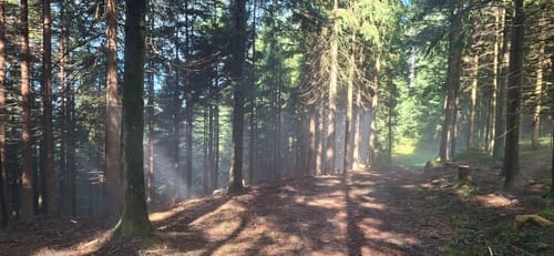 Kreuzsattelhütte - Brandenkopf