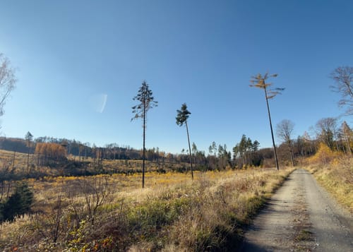 Beiersdorfer Ringweg
