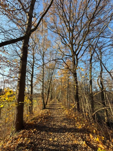 Beiersdorfer Ringweg
