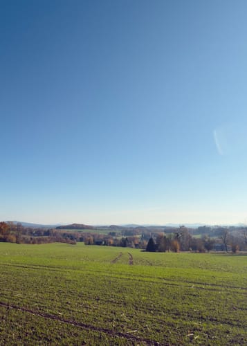 Beiersdorfer Ringweg