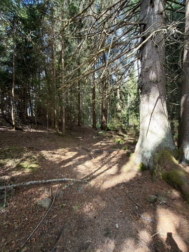Schluchseer Jägersteig (Genießerpfad)