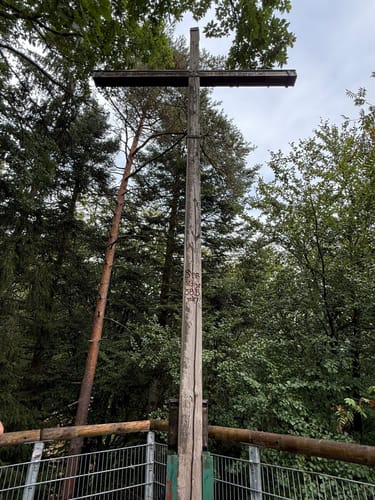 Naturpark Südeifel Wanderweg Nr. 55 - Bollendorf