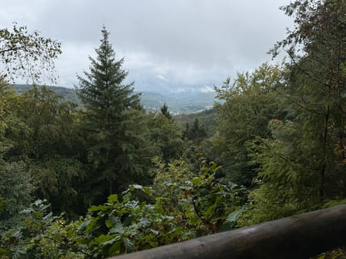Naturpark Südeifel Wanderweg Nr. 55 - Bollendorf