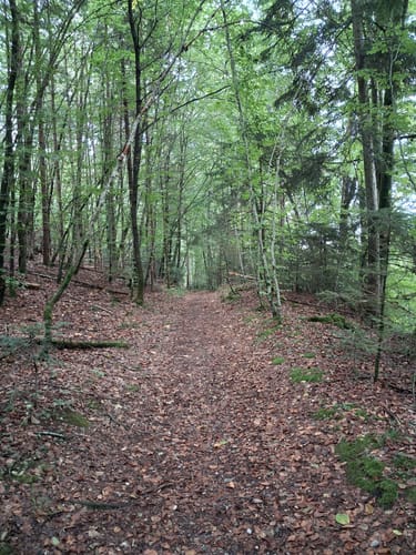Von Stephanskirchen um den Hartsee