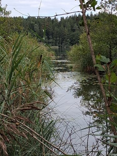 Von Stephanskirchen um den Hartsee