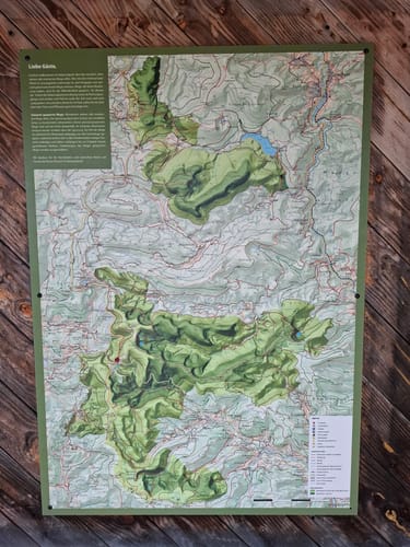 Von Ruhestein zum Wildsee