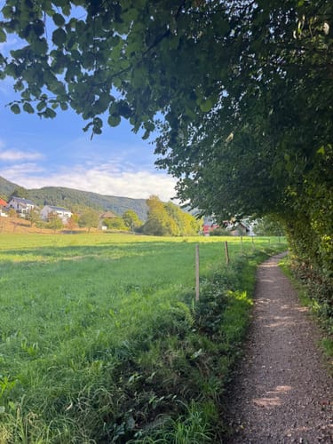 Mühlen-Rundwanderweg Simonswald