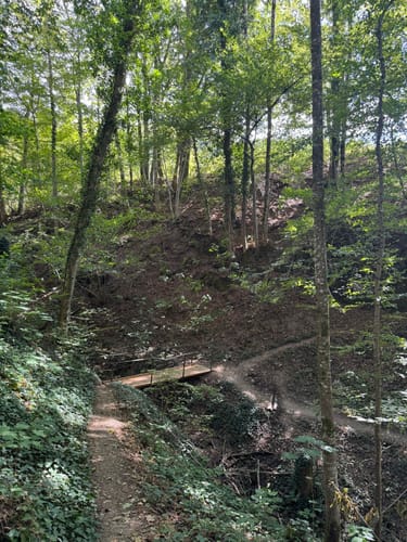 Mühlen-Rundwanderweg Simonswald