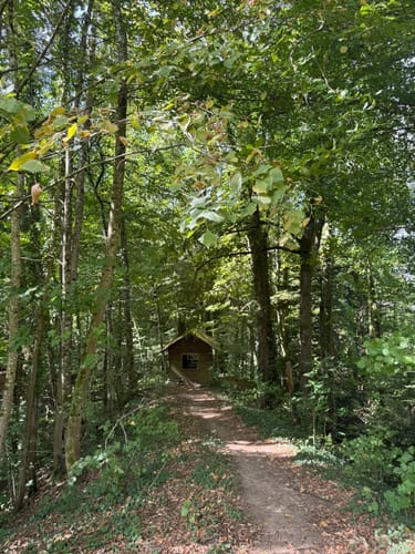 Mühlen-Rundwanderweg Simonswald