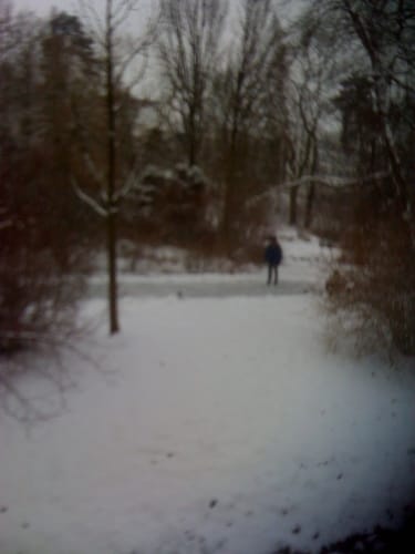 Durch den Schlosspark in Laupheim