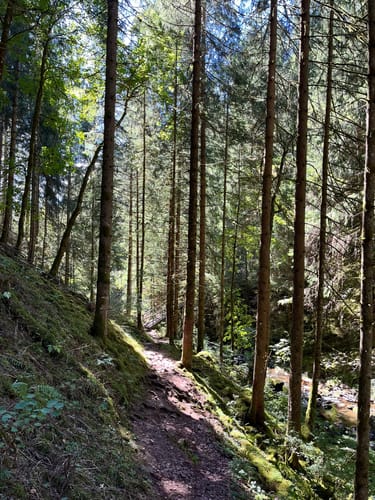 Rötenbachschlucht (Genießerpfad)