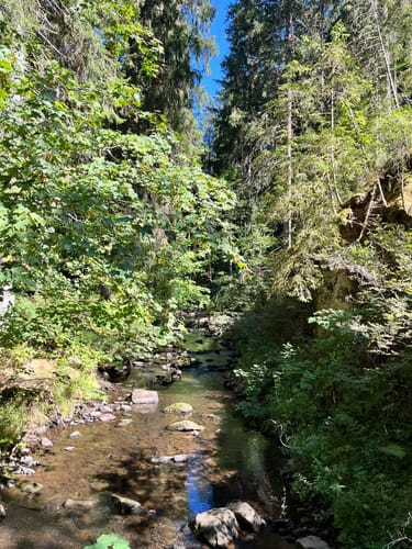 Rötenbachschlucht (Genießerpfad)