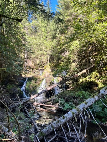 Rötenbachschlucht (Genießerpfad)