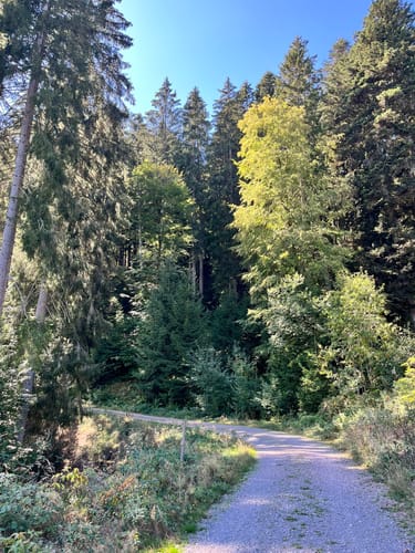 Rötenbachschlucht (Genießerpfad)