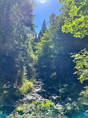 Rötenbachschlucht (Genießerpfad)