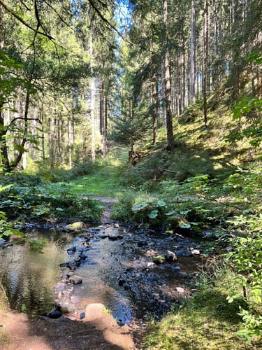 Rötenbachschlucht (Genießerpfad)