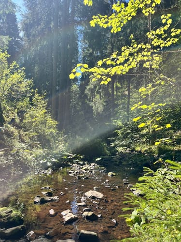 Rötenbachschlucht (Genießerpfad)