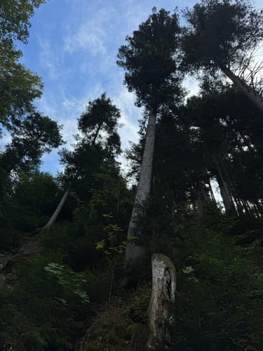 Hinterzarten und Ravennaschlucht