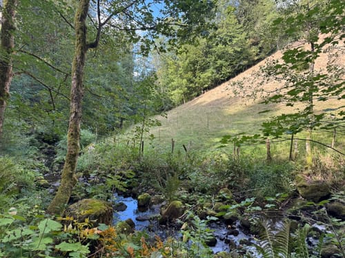 Hinterzarten und Ravennaschlucht