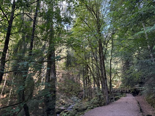 Hinterzarten und Ravennaschlucht