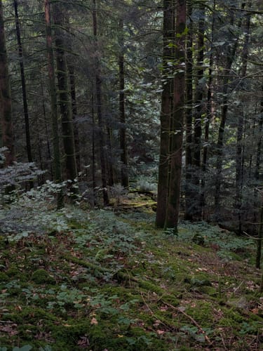 Ortenauer Sagenrundwege: Allerheiligen