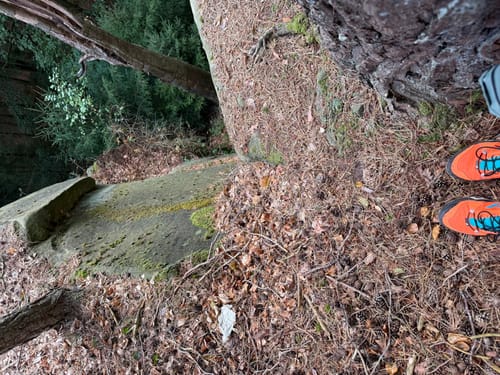 Naturpark Südeifel Wanderweg Nr. 55 - Bollendorf