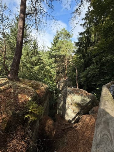 Naturpark Südeifel Wanderweg Nr. 55 - Bollendorf