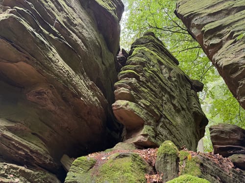 Naturpark Südeifel Wanderweg Nr. 55 - Bollendorf